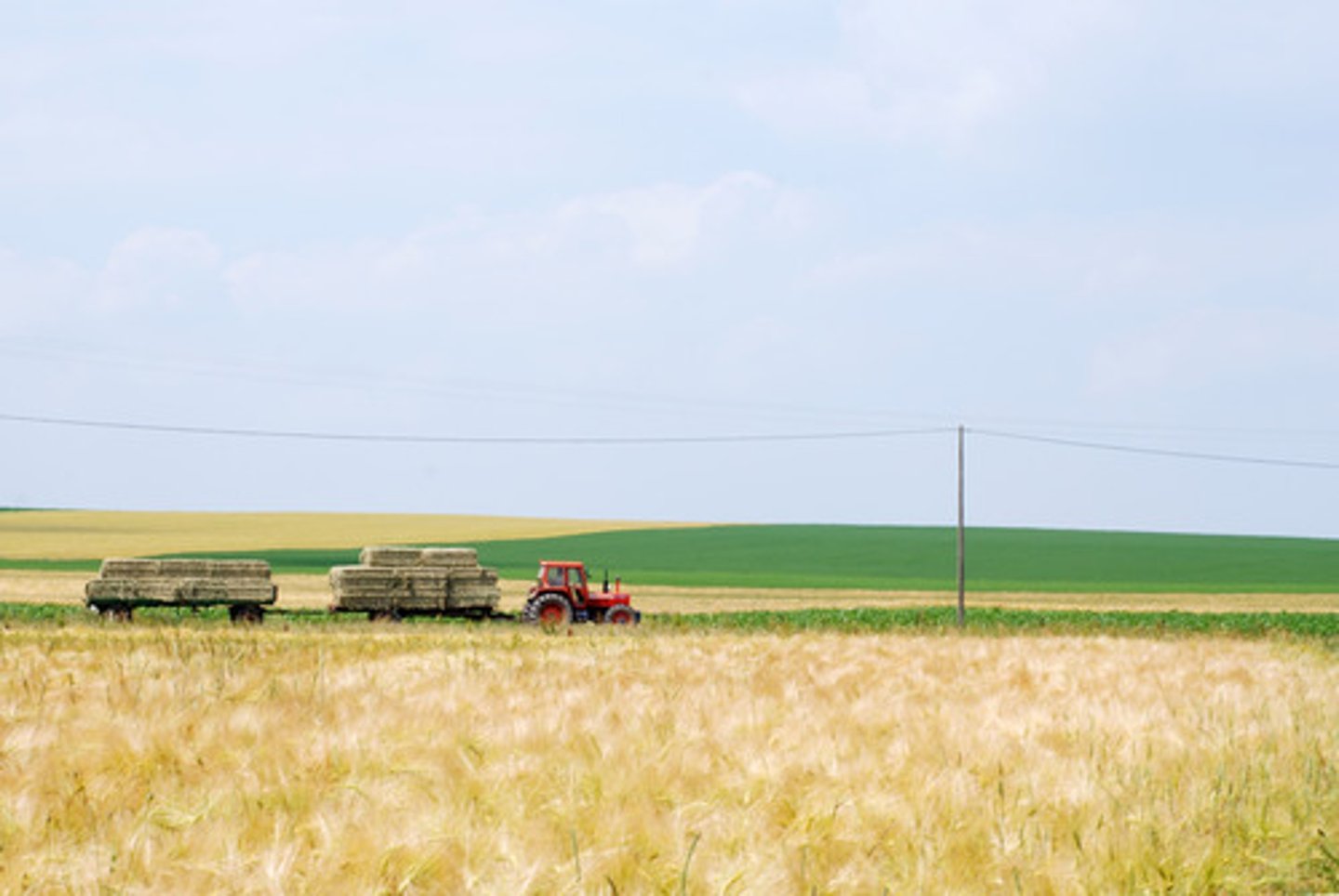 <p>the cultural landscape of agricultural areas</p>
