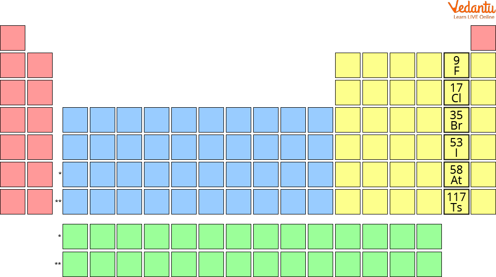term image