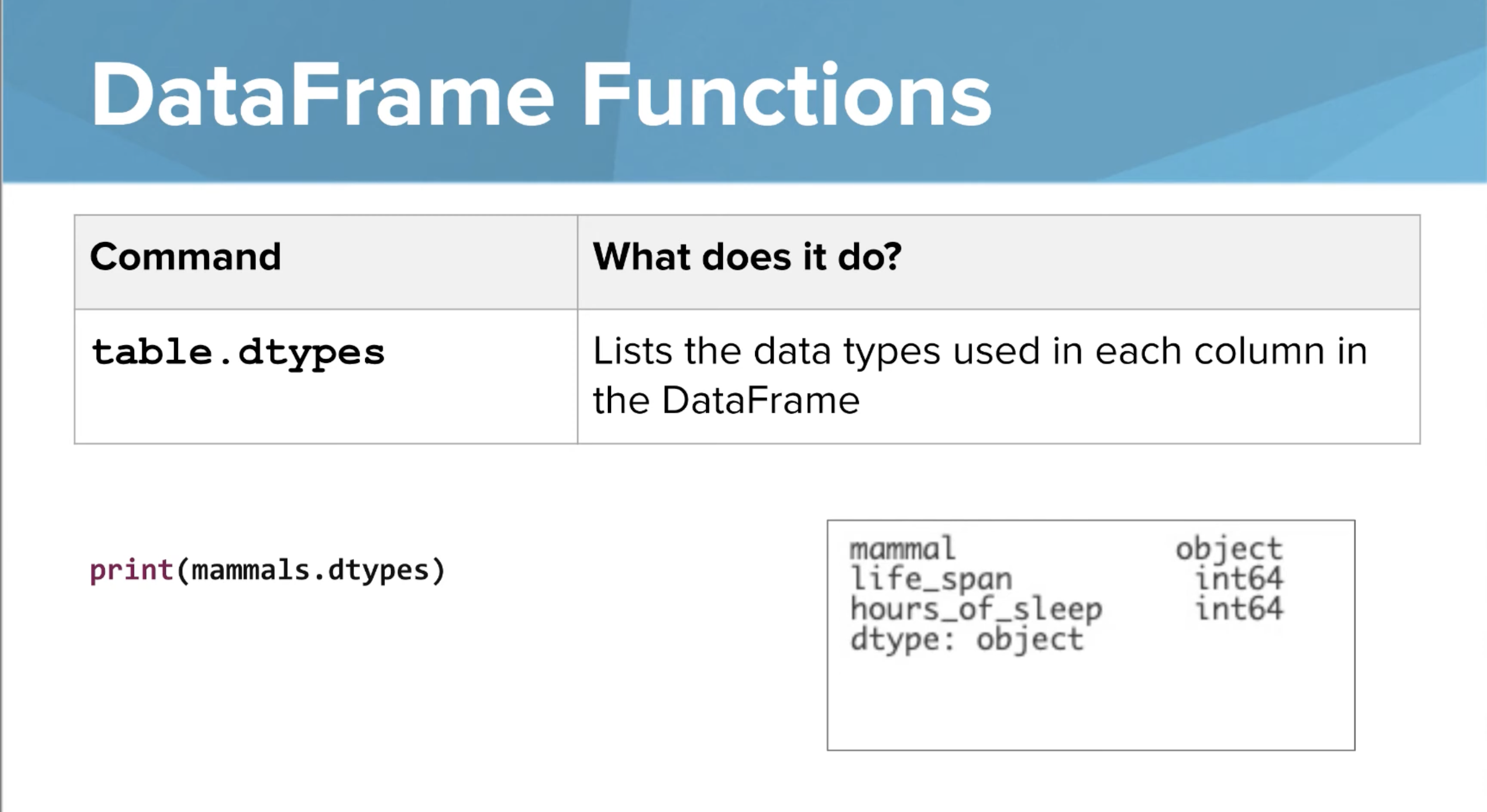 <p> Lists the datatypes used in each column in the Data Frame. </p><p>This one for examples print integers as a datatype because positive whole numbers are being used in the column.</p><p></p>