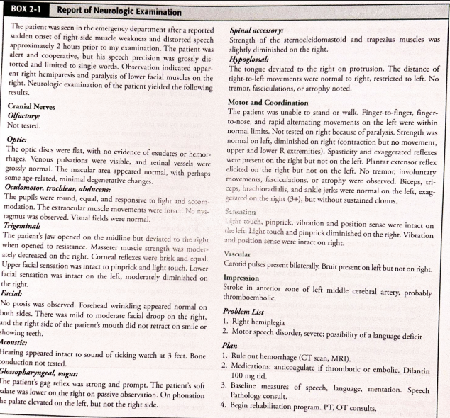 <p>Vastly oversimplified but concise overview of major stroke syndromes</p>