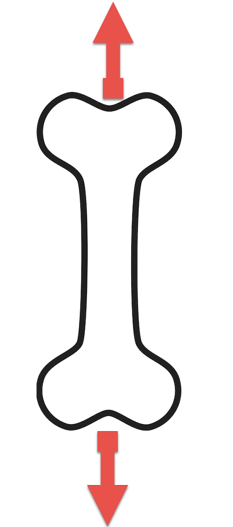 <p>What force is acting on the bone?</p>