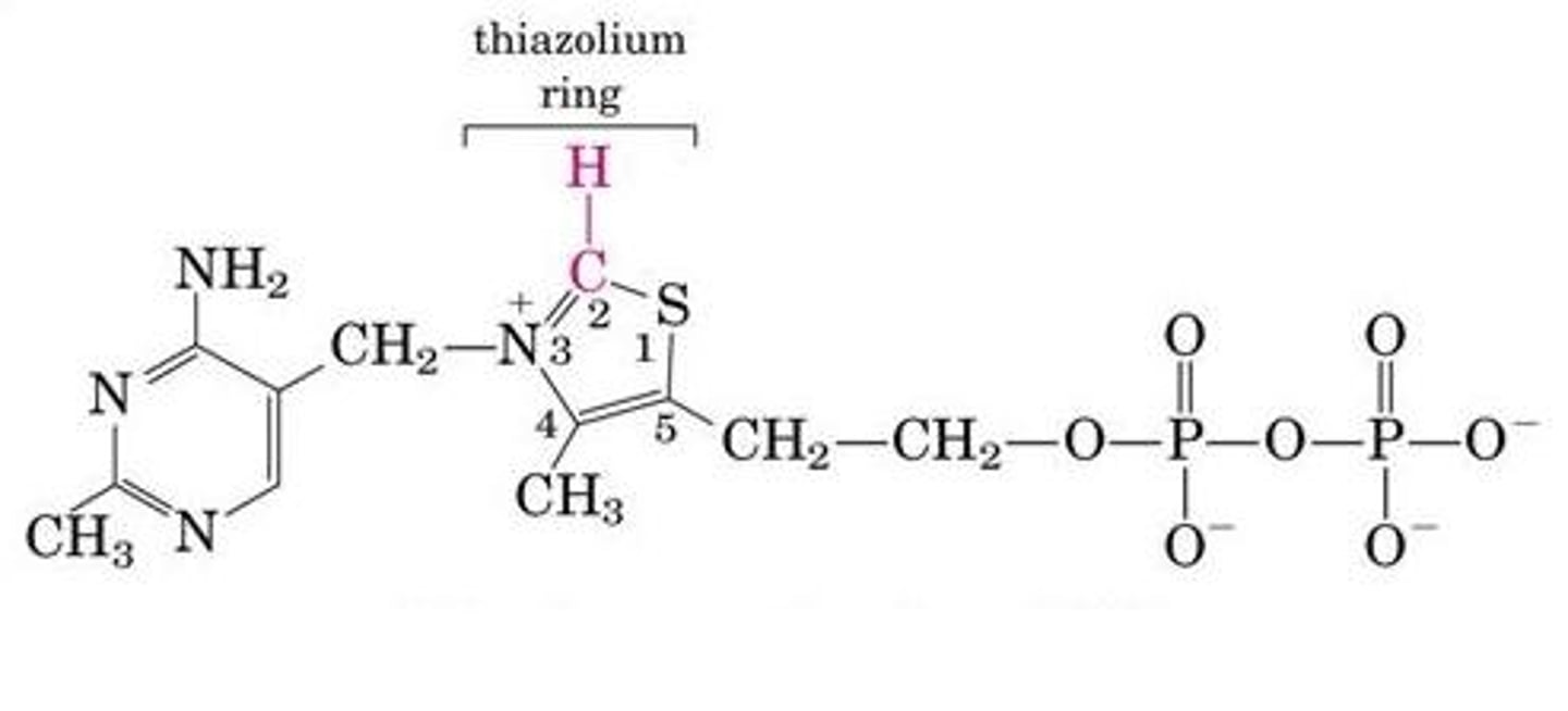 <p>- thiamine (vitamin B1) in TPP, an enzyme cofactor in the E1 complex</p><p>- carbon on thiazolium ring is used during aldehyde transfer</p>