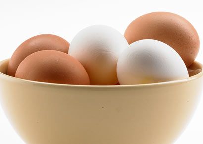 <p>egg</p>