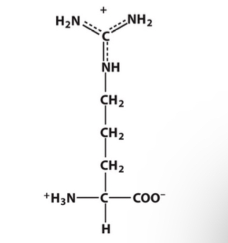 <p>Identify this amino acid.</p>
