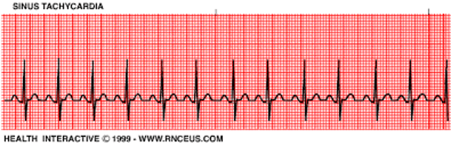 <p>fast heart rate</p>