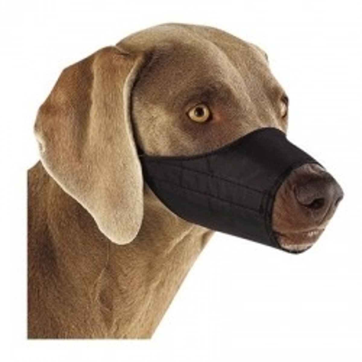 <p>Wraps securely around the mouth preventing any mouth movement</p>