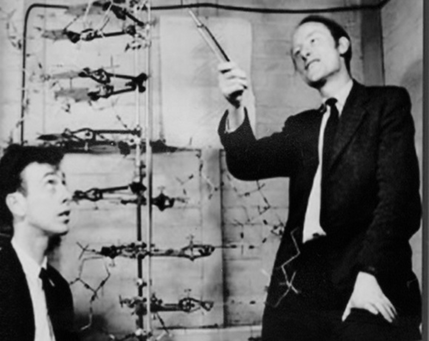 <p>Watson and Crick (1953)</p>