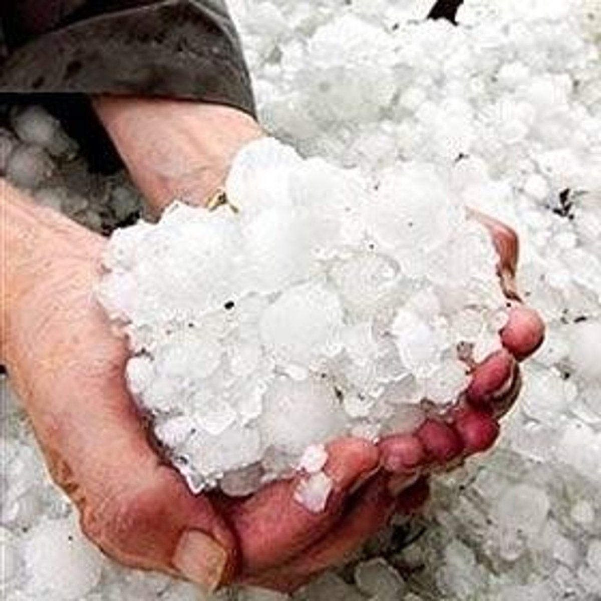 <p>hail</p>