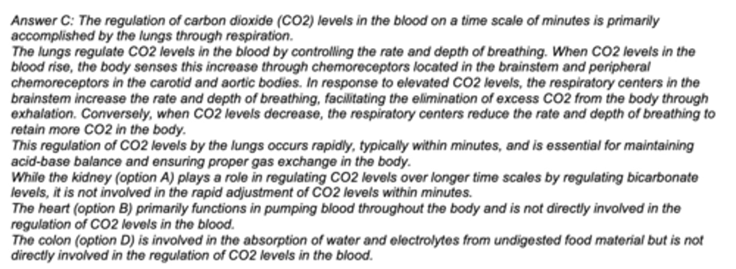 <p>C. lung</p>