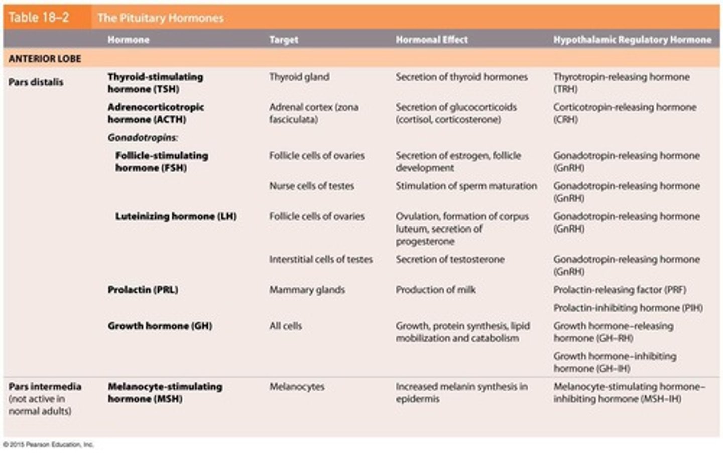 <p>Hormones such as ACTH, TSH, GH, PRL, FSH, and LH.</p>
