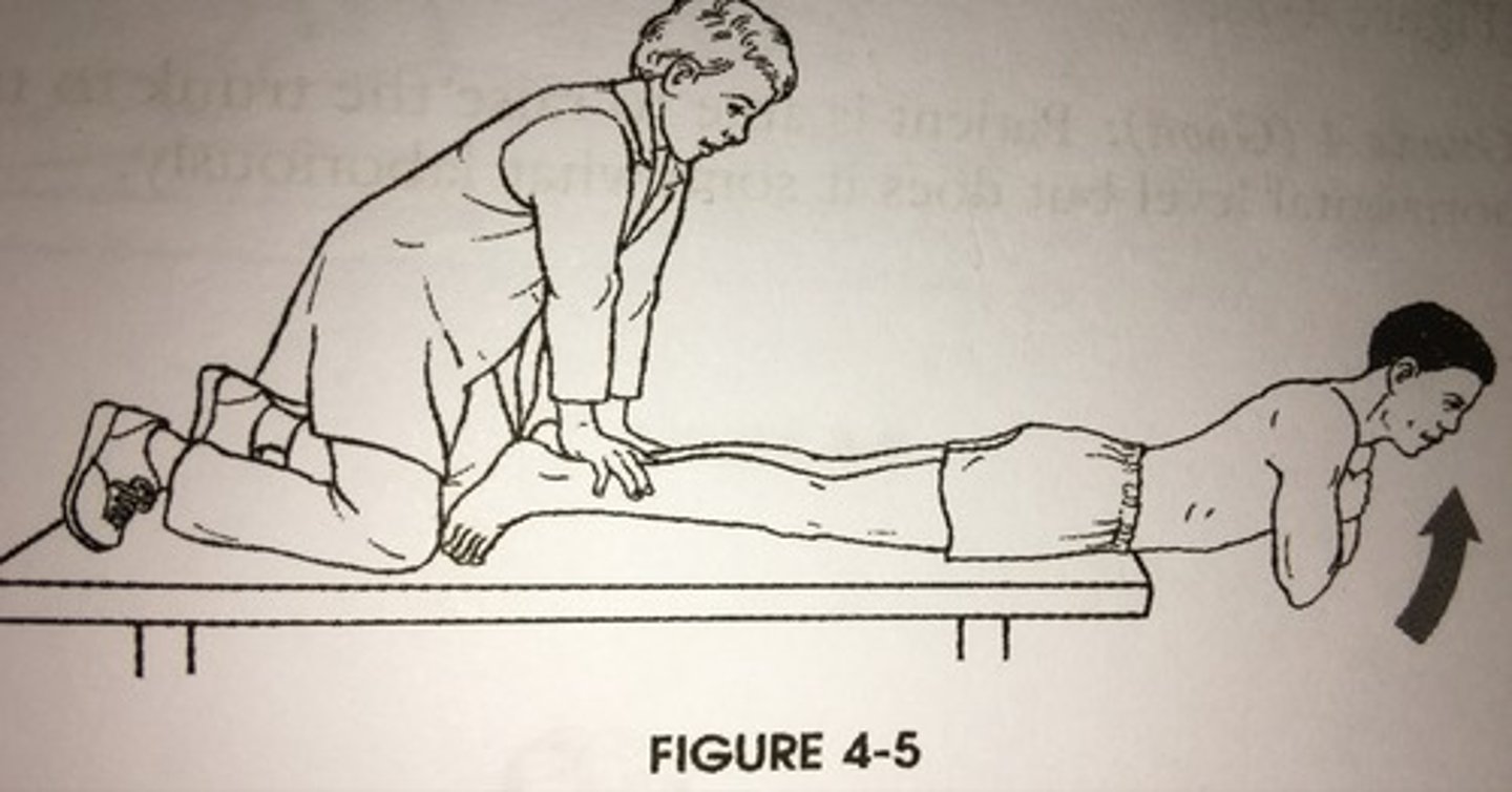 <p>tests the endurance of back extensors</p>