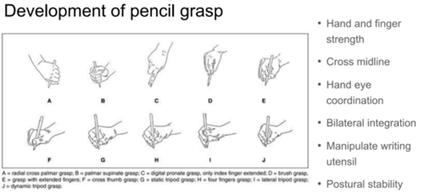 <p>Crossing the midline</p><p>Hand-eye coordination</p><p>Bilateral integration</p><p>Postural stability</p>