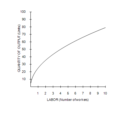 <p><strong>Refer to Figure 13-1</strong>. As the number of workers increases,</p>