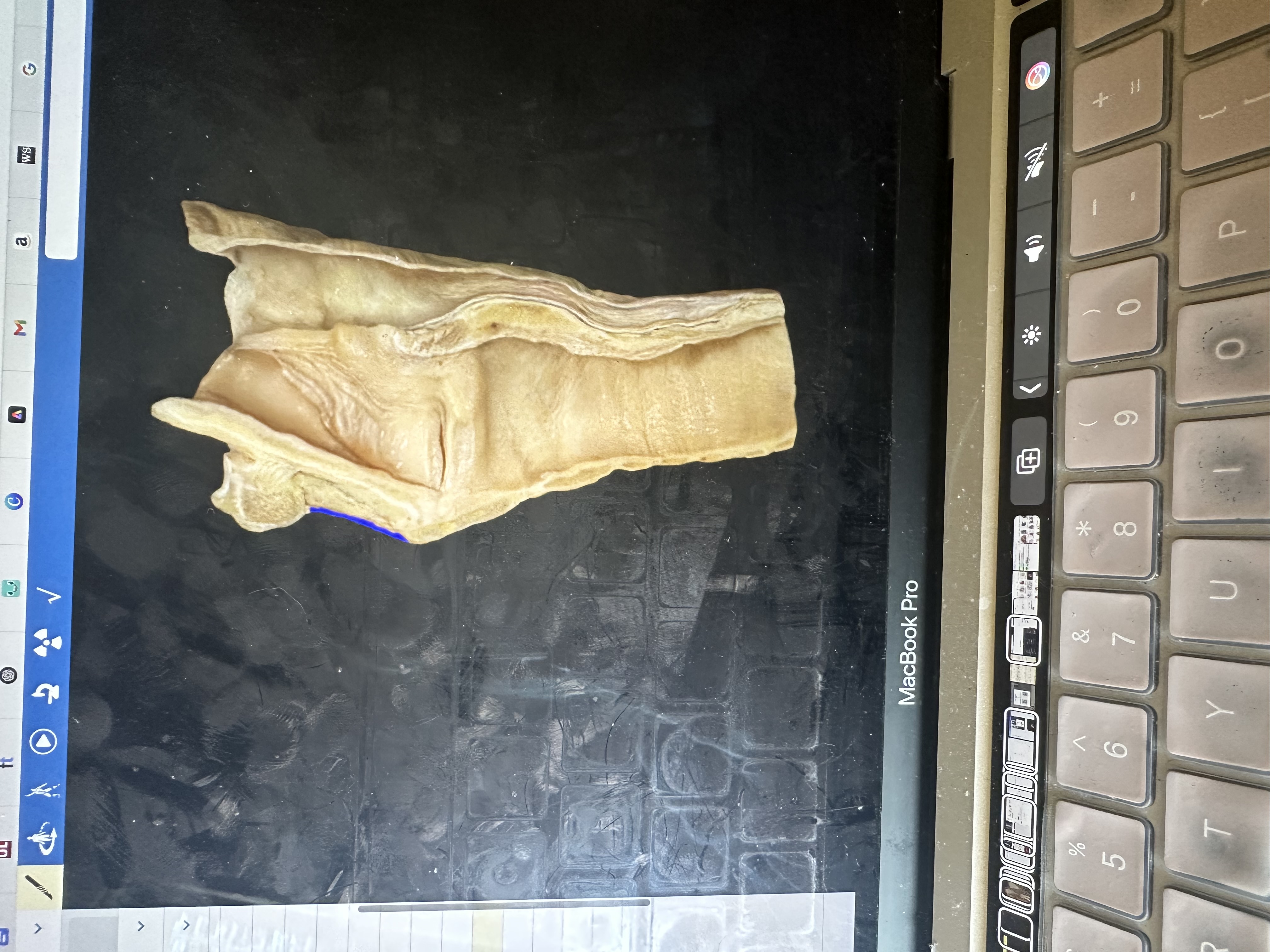 knowt flashcard image