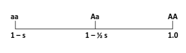 <p>Heterozygote intermediate to that of either homozygote</p>
