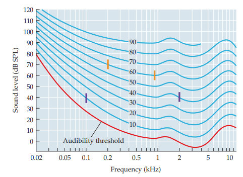 <p>sounds placed at a constant level are perceived as louder when played for longer</p>