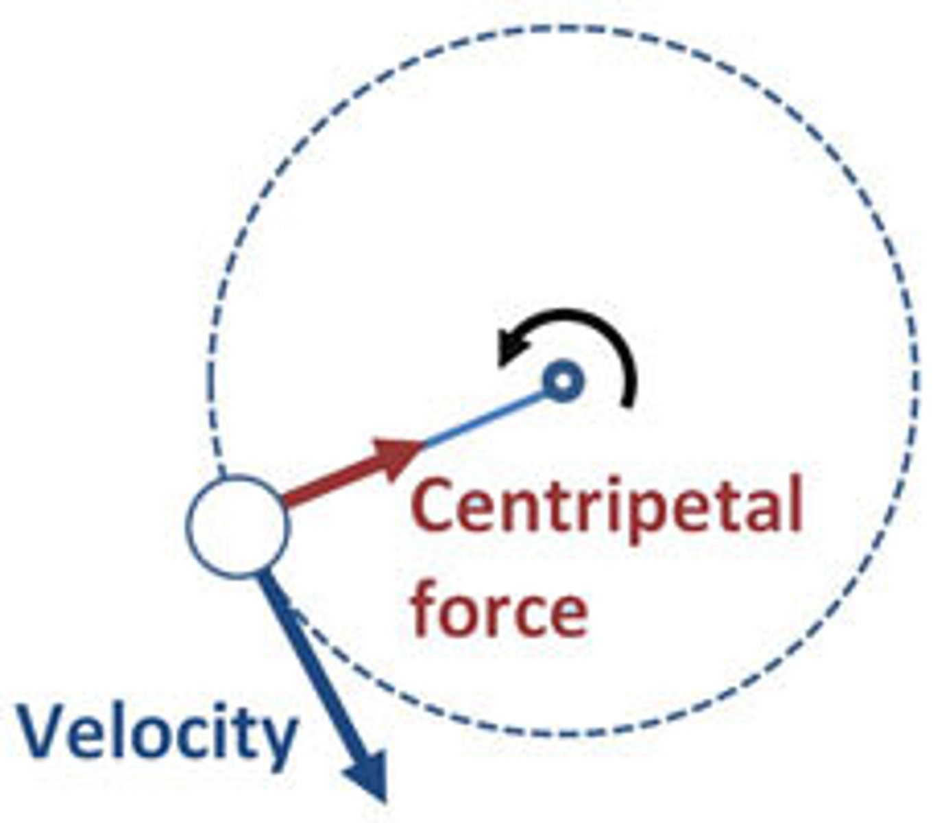 <p>any real, inward-acting force (such as gravity, tension, or friction) acting perpendicular to an object's motion, forcing it into a circular path</p>