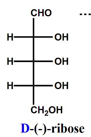 <p>D-Ribose (Rib)</p>