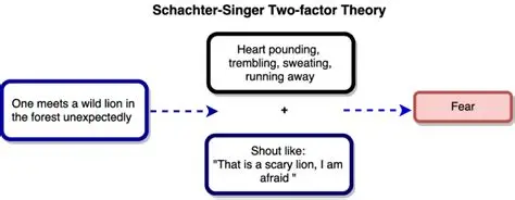 <p>Arousal/stimulus elicits in the physical response and the addition of a cognitive label that results in fear</p>