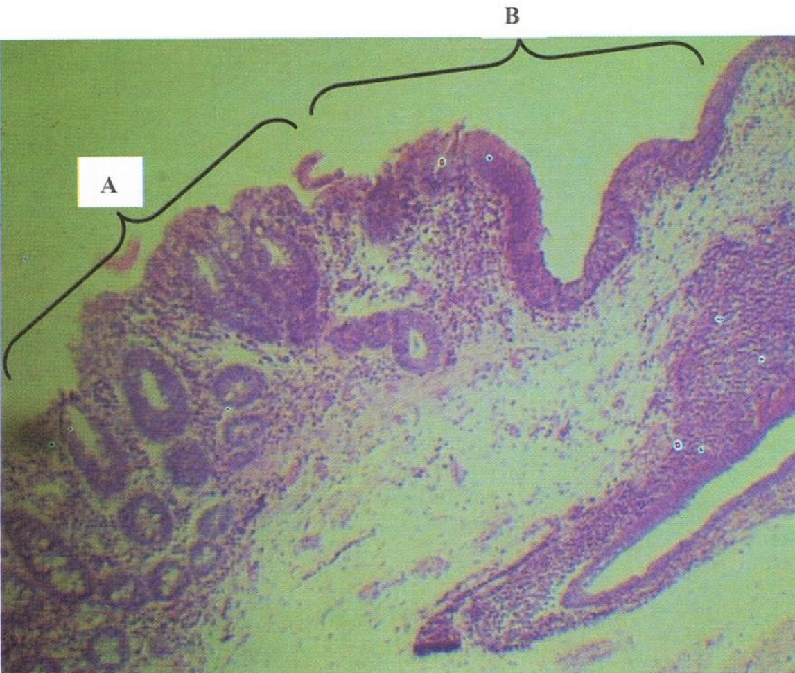 <p>Identify the structure</p>