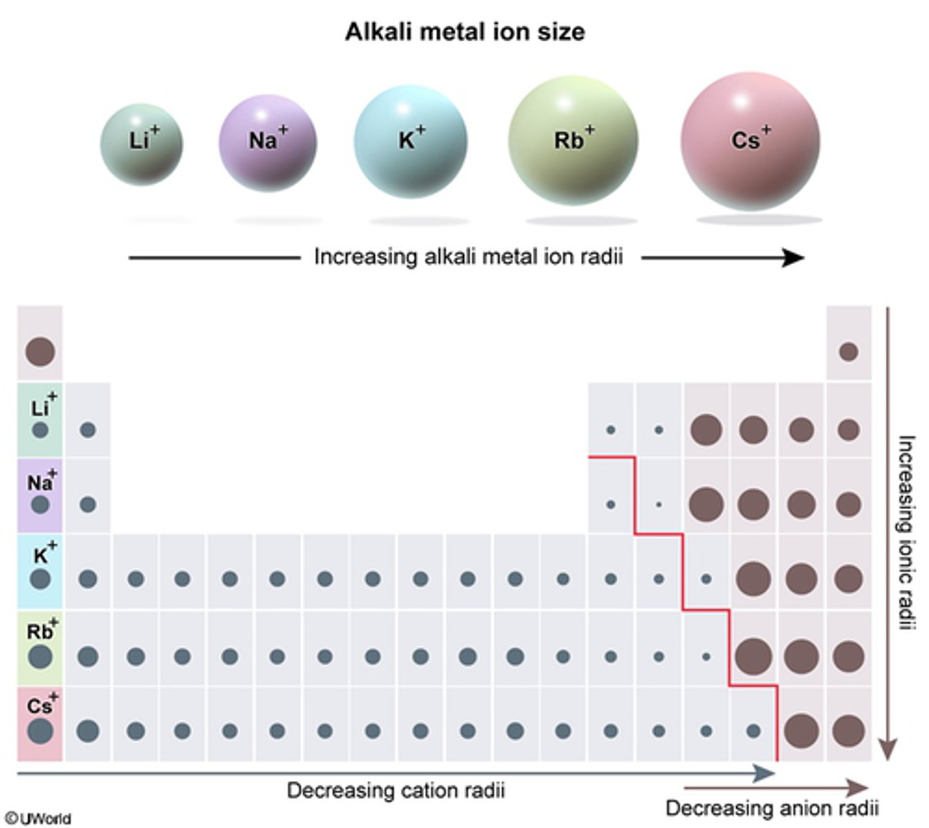 <p>Increasing alkali metal ion radii increases from the Left to the Right on the TOP of PT</p><p>Increases from the top to bottom on the RIGHT of PT</p>