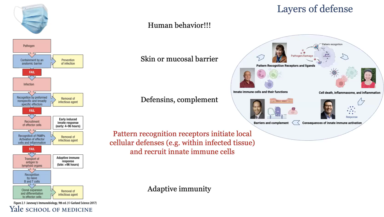 <p>Human behavior</p><p>Skin or mucosal barrier</p><p>Defensins, complement</p><p>Pattern recognition recpetors initate local cellular defenses and recruit innate immune cells</p><p>adaptive immunity</p>