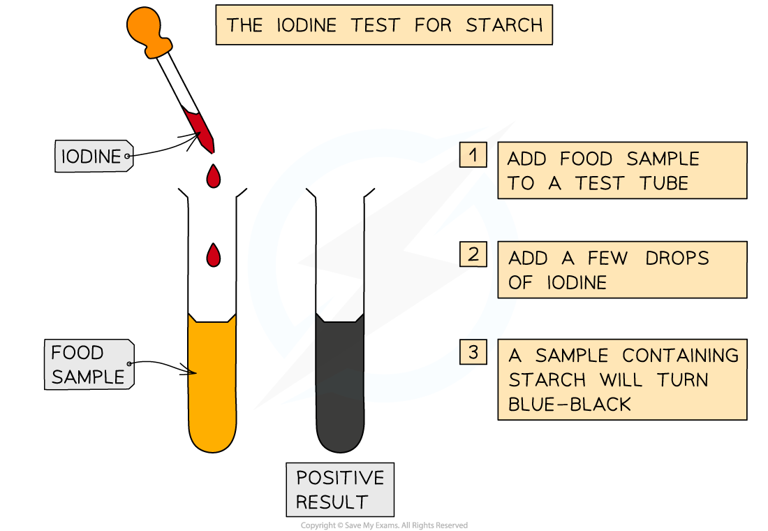 <ul><li><p>add drops of <strong>iodine solution </strong>to the sample</p></li><li><p>a positive test will show a colour change from <strong>orange-brown to blue-black</strong></p></li></ul><p></p>