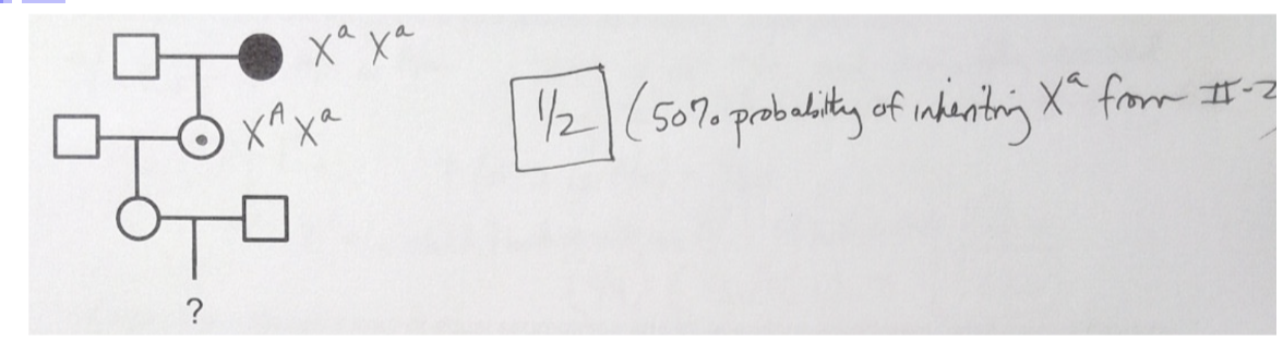 <ul><li><p>1/2</p></li></ul><p></p>