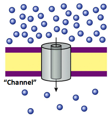 <p>no energy required</p>