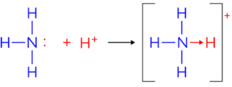 <p>When an atom uses a lone pair of electrons to form a covalent bond</p>