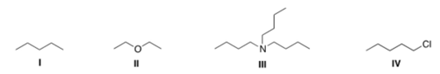 <p>B</p>