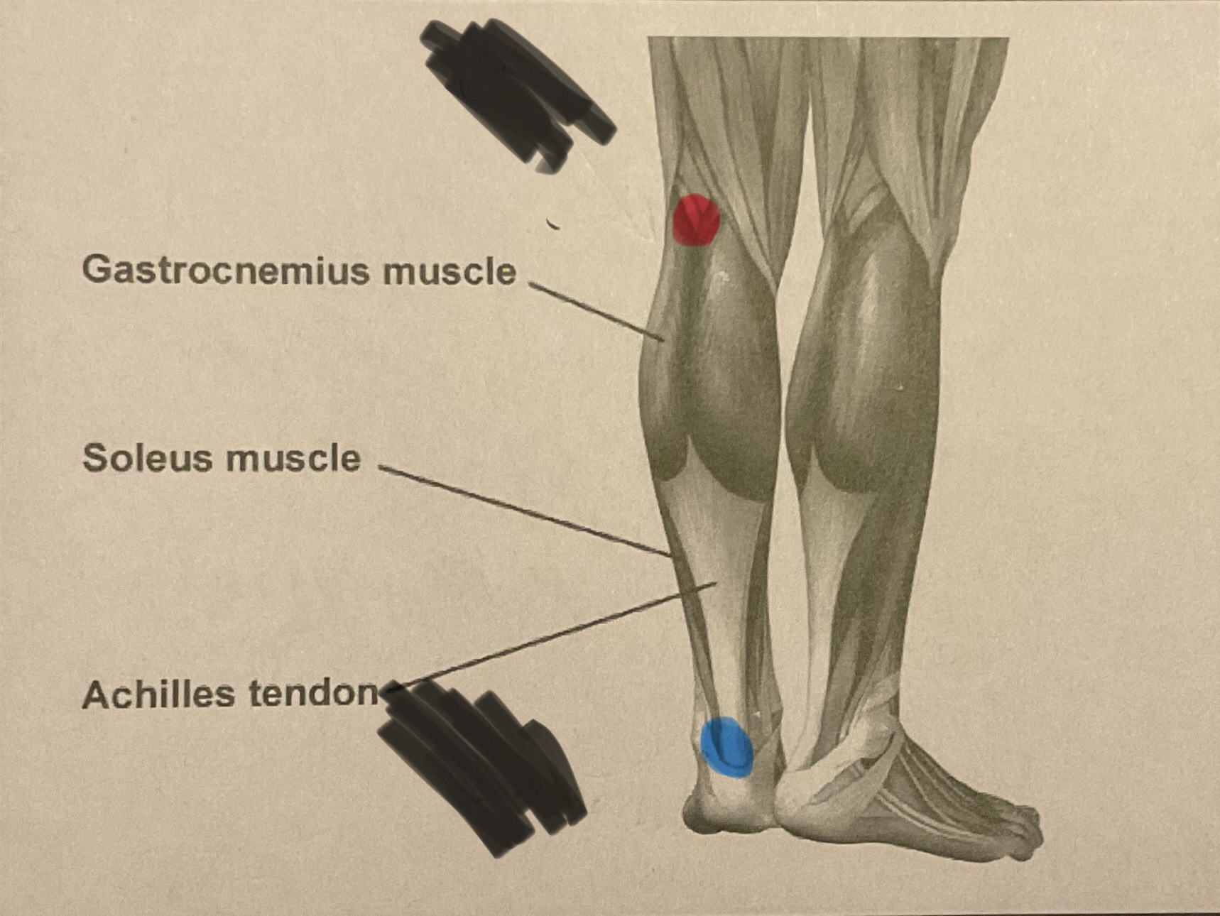 <p>Where is the origin?</p>