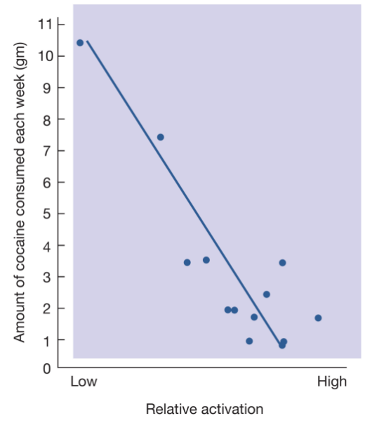 <p>What is the relationship between cocaine intake and the medial prefrontal cortex?</p>