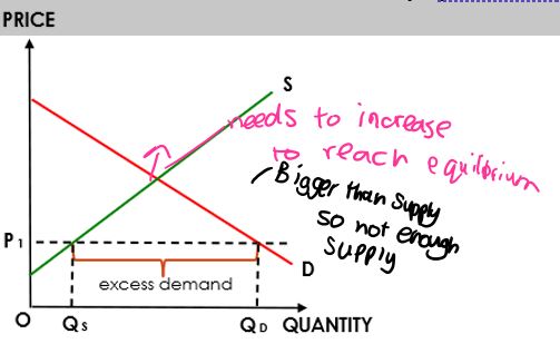 <p><span style="font-family: Calibri, sans-serif">A representation of the amount of a commodity, product or service available</span></p><ul><li><p><strong>Excess Demand= </strong>demand&gt;supply</p></li><li><p><strong><span style="font-family: Calibri, sans-serif">To reach equilibrium again= </span></strong><span style="font-family: Calibri, sans-serif">increase price</span></p></li></ul>