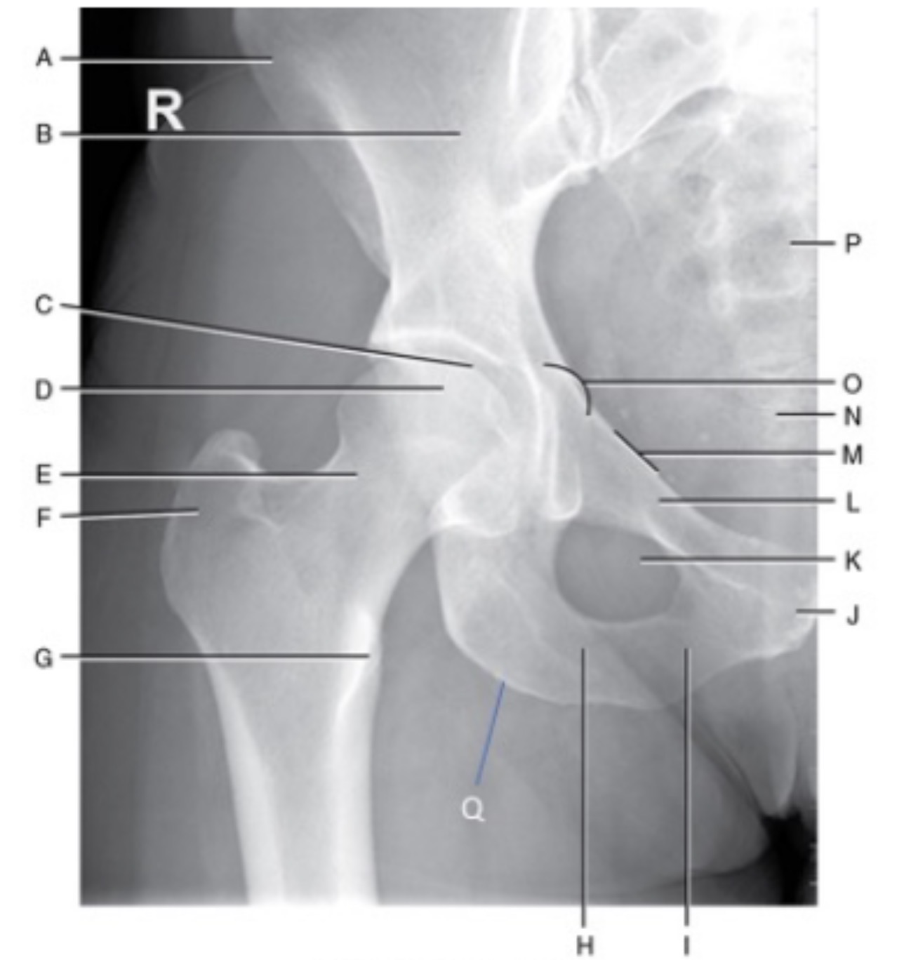 <p>Name area N and O</p>