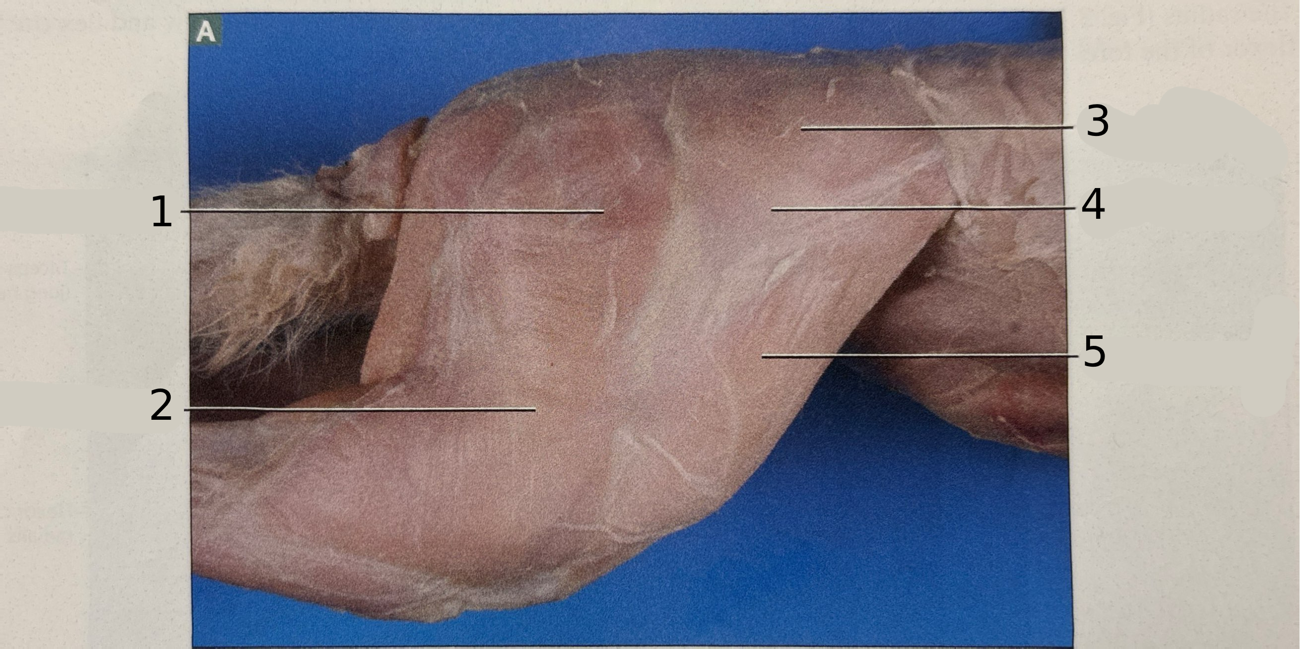 <p>2</p>
