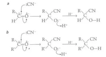 <p>The high electronegativity of the oxygen atom polarizes the C=O bond and leaves the C atom open to attack by nucleophiles, such as hydrogen cyanide, which can form a negative intermediate that can react with cations, causing an addition</p>