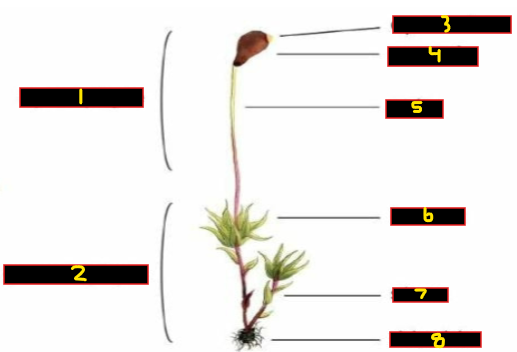 <p>What is 3? </p>