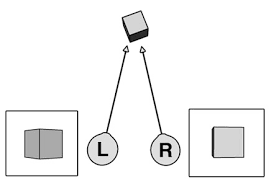 <p>Retinal Disparity/Binocular Disparity</p>