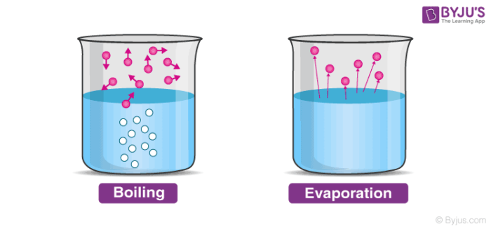 <p>The conversion of a liquid into a gas.</p>