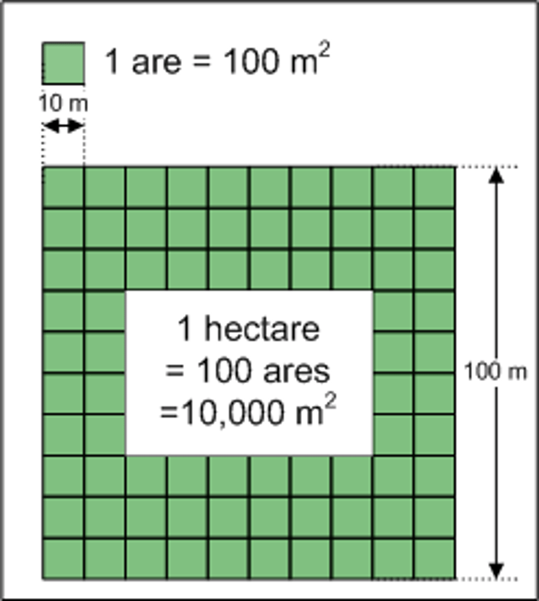 <p>hectárea</p>