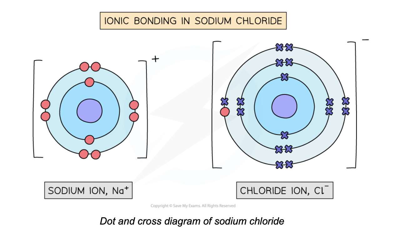 <p>What do dot and cross diagrams display?</p>