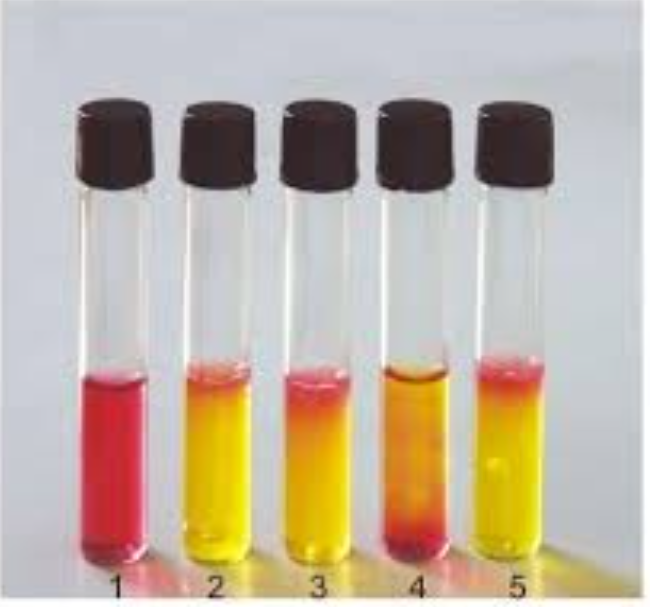 <p><strong>pH indicator </strong>in this medium</p>