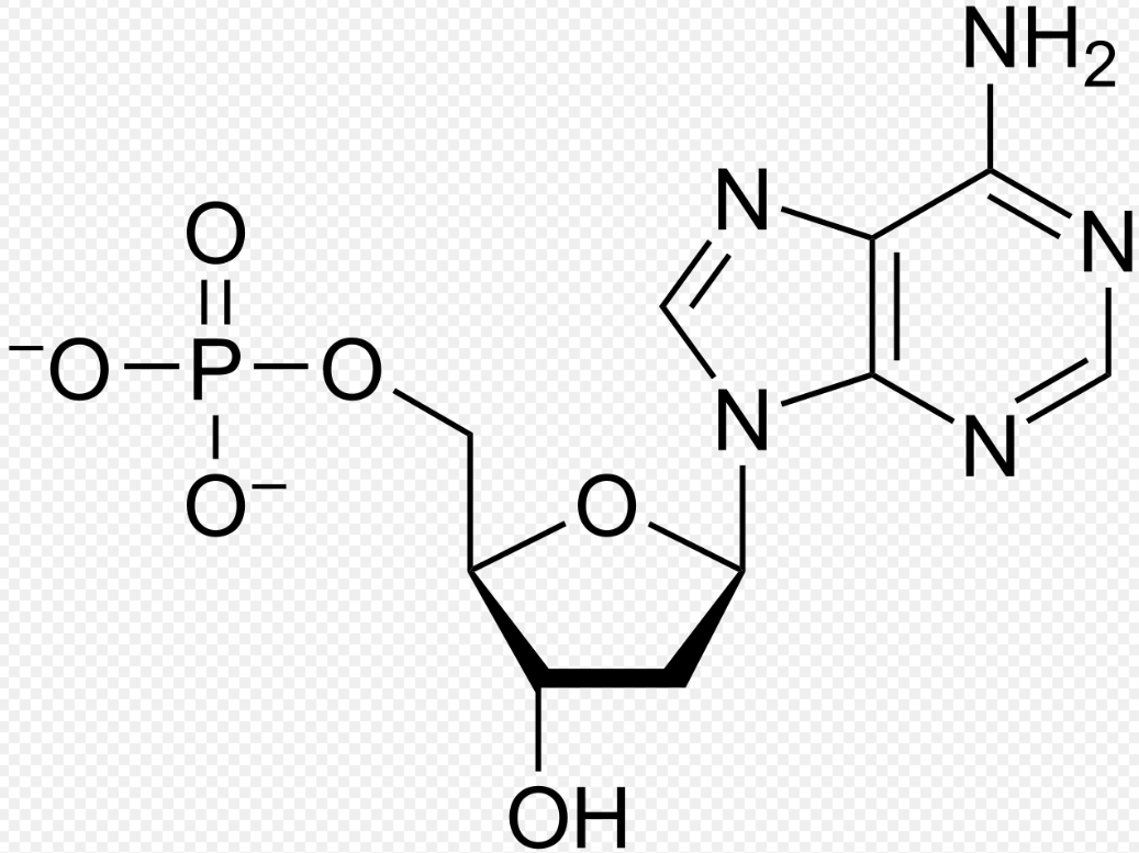 Identifiez la molécule 