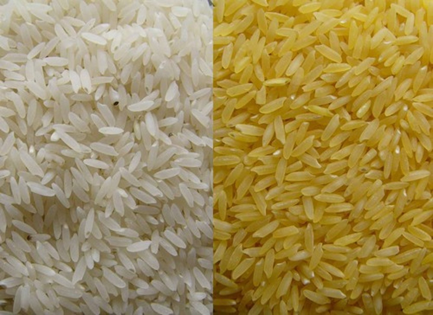 <p>gạo</p>
