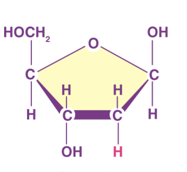 <p>what sugar is this </p>