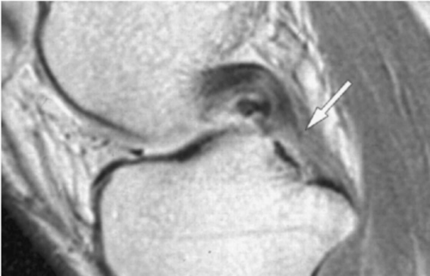 <p>Define the pathology.</p>