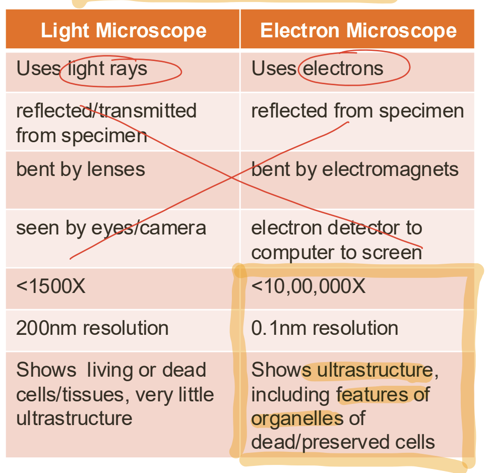 <p>Electron microscopes has higher resolution and magnification</p>