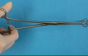 <p>is used to grasp delicate tissue (intestine, fallopian tube, ovary). Available in short and long sizes</p>