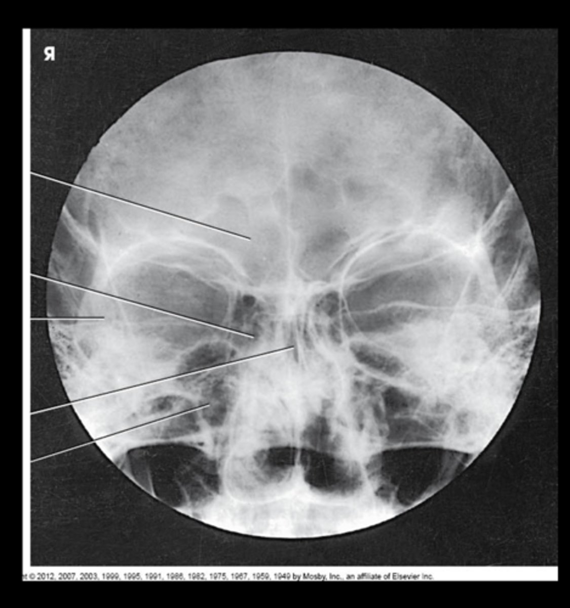 <p>What are the eval criteria for this image?</p>